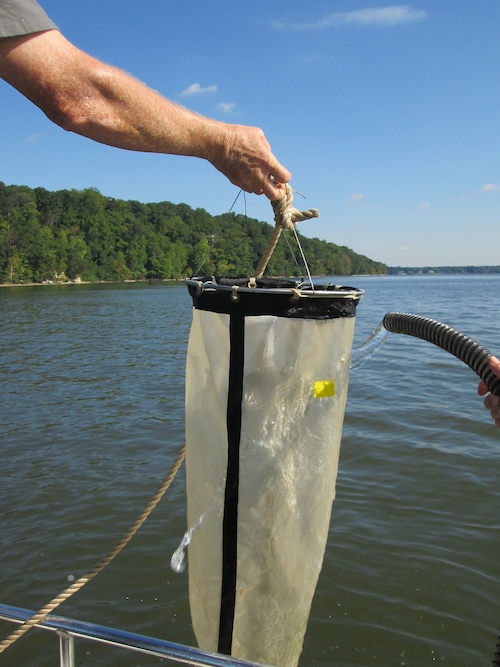 A person holding a plankton collection net while on a boat