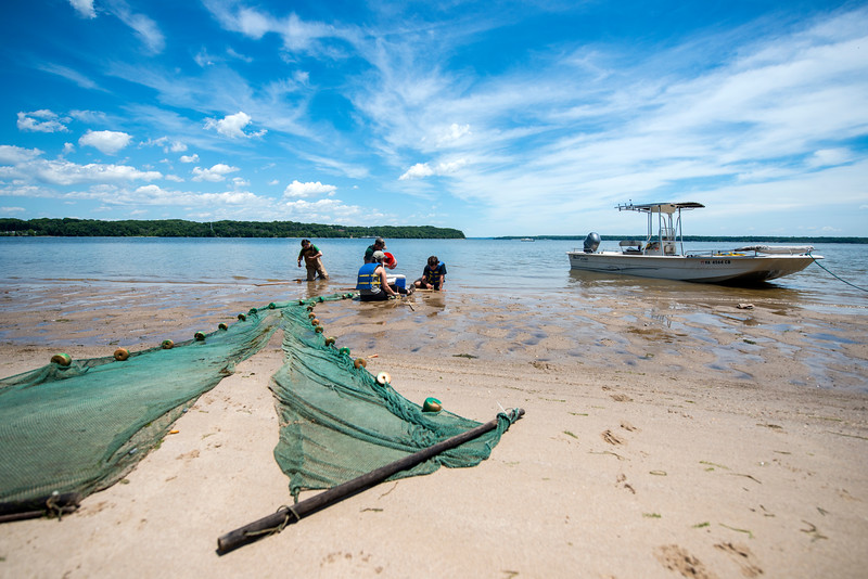 About Potomac Environmental Research and Education Center